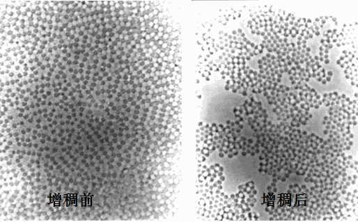 分散劑 增稠劑